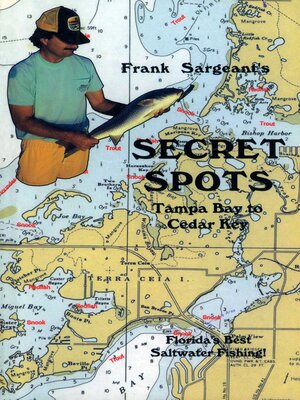 cover image of Secret Spots—Tampa Bay to Cedar Key